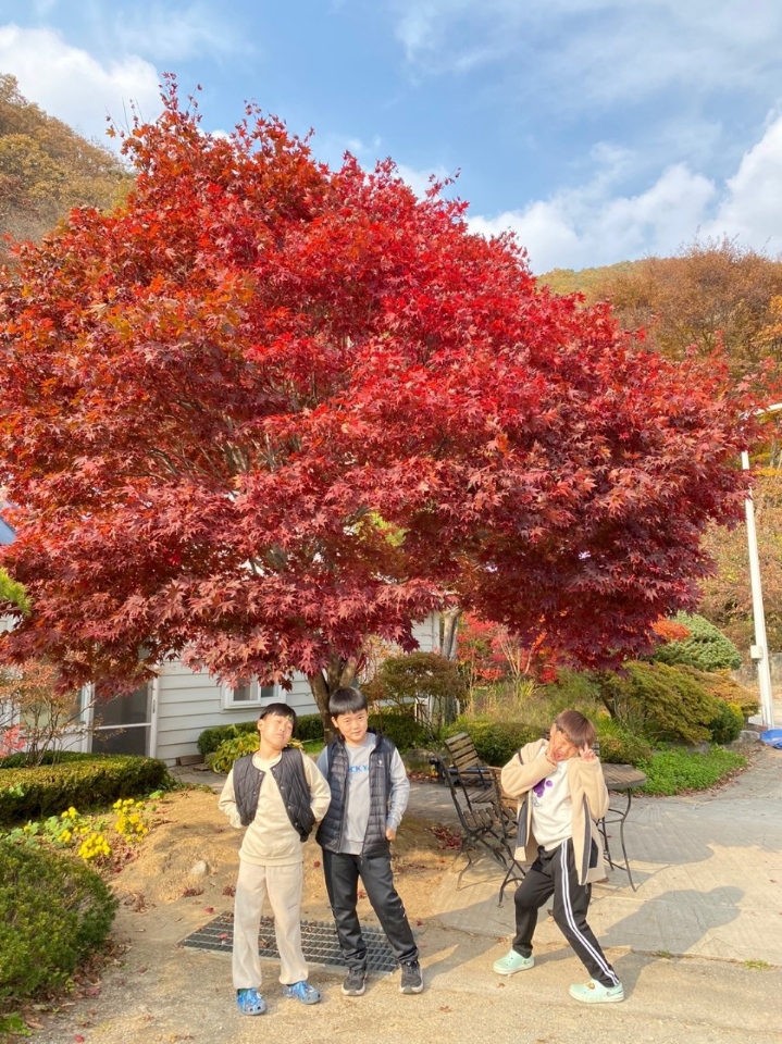 동상초등학교 모집가능(열린마을농촌유학센터 연중모집) 이미지(5)