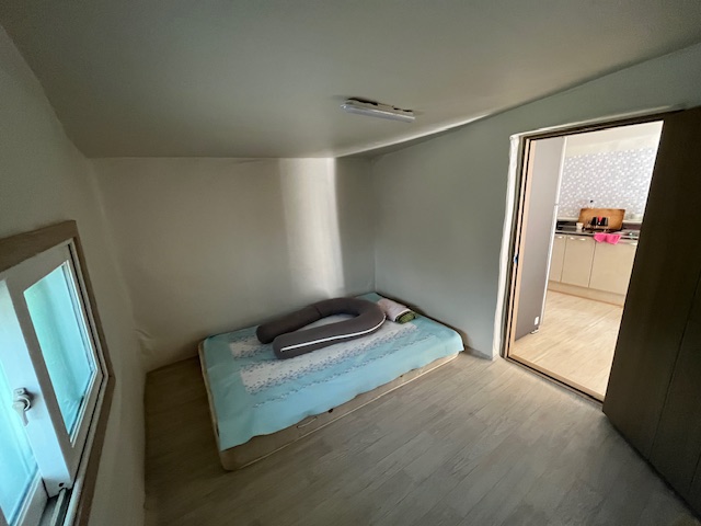 옹동초 / 농원마을Ⅱ 이미지(4)