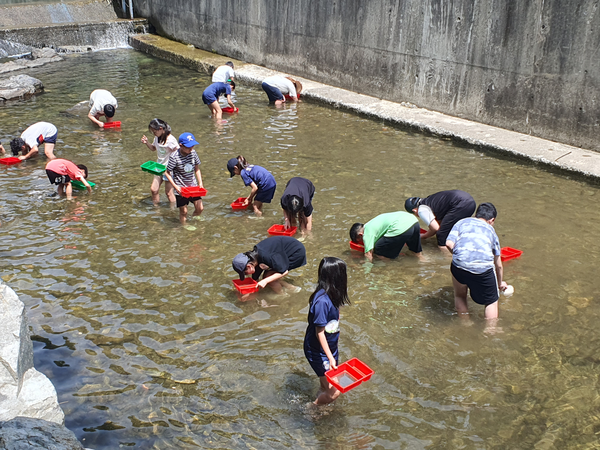 조림초등학교(병설유치원) 이미지(4)