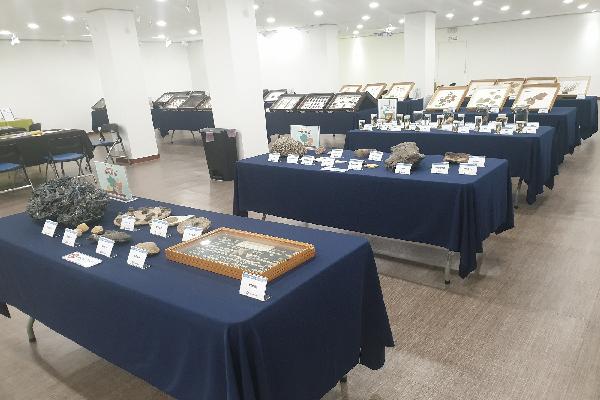남원교육문화회관 자연, 표본으로 만나다 전시 운영