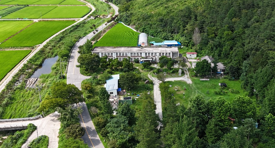 오궁초1.jpg