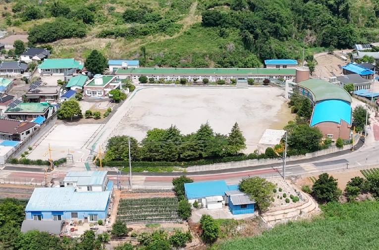 계화초1.jpg