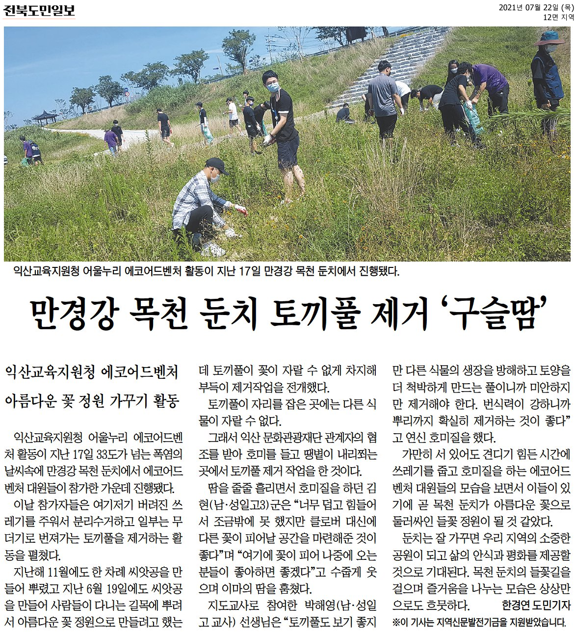 만경강 목천 둔치 토끼풀 제거 구슬땀 보도자료
